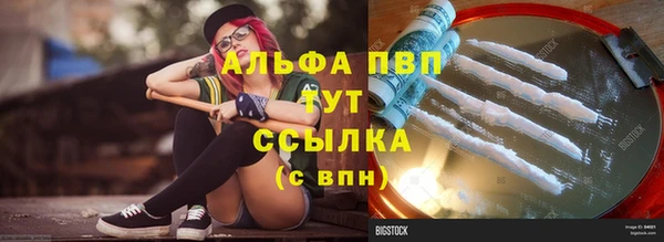 шишки Алексин