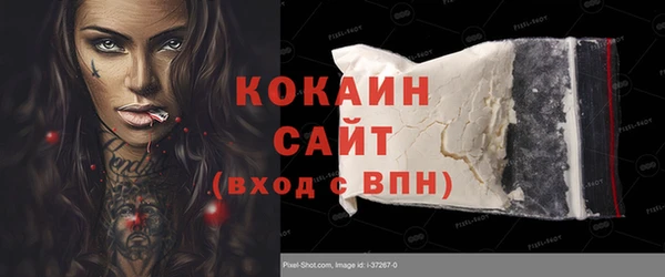 шишки Алексин